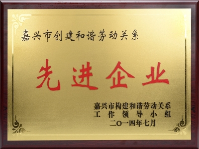 先進(jìn)企業(yè)